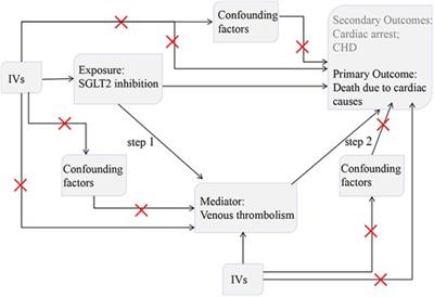 SGLT2 inhibition, venous thrombolism, and death due to cardiac causes: a mediation Mendelian randomization study
